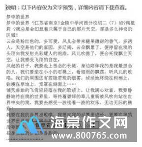 我的世界一年级作文