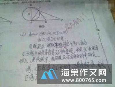 我真了不起的初一作文