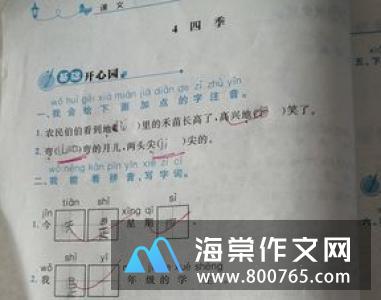 今天没有家庭作业一年级作文
