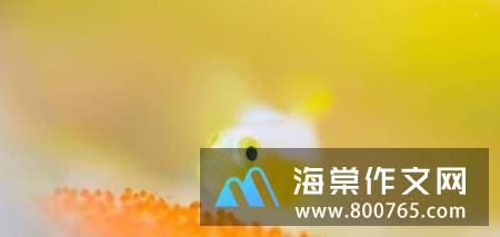 往后余生且行且珍惜高一作文