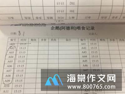 高温下的故事一年级作文