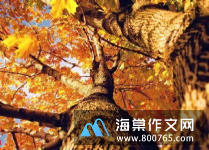 秋雨小学二年级作文400字