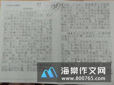 足球赛的小学二年级作文