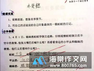 观察仓鼠小学二年级作文350字