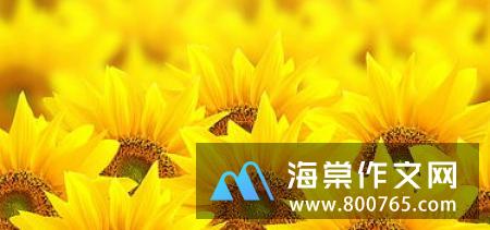 关于年轻青春的名言警句