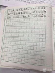 坚持就会成功小学二年级作文