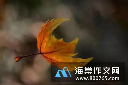 我是人间惆怅客纳兰心事高一作文900字