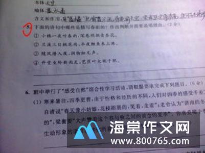 老师,谢谢您初一作文800字