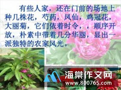 乡下人家一年级作文500字