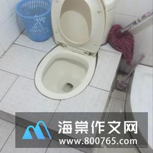 老吹风机高一作文