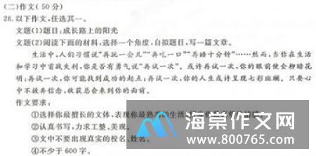 角落里的阳光一年级作文
