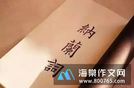 我是人间惆怅客纳兰心事高一作文900字