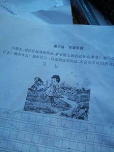 乡下人家一年级作文500字