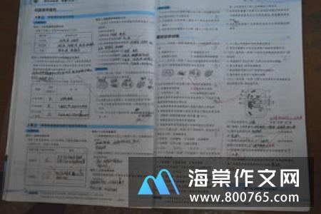 不要说以后高一作文