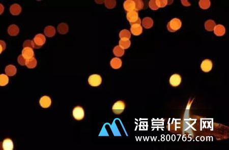 灯火高一作文700字
