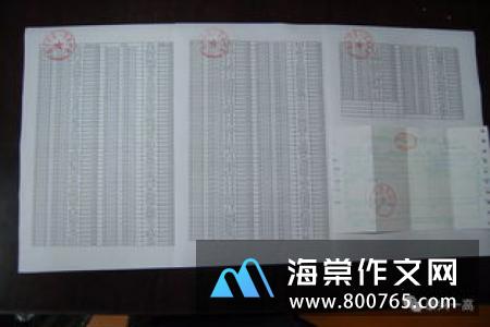 人间自有真情在高一作文