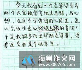 走过雨季高一作文450字