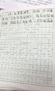 擦亮地球的人小学一年级作文