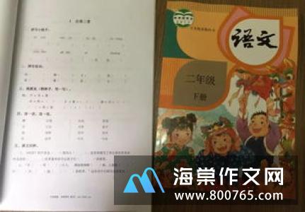 游天宫庄园二年级作文450字