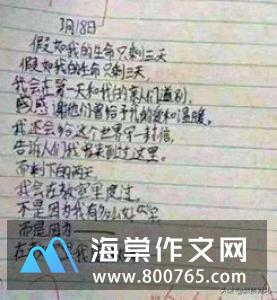 不一样的爱初一作文850字