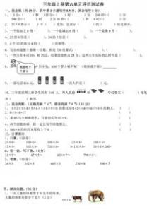 菜市场见闻小学二年级作文