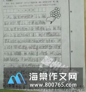 拍皮球比赛小学二年级作文