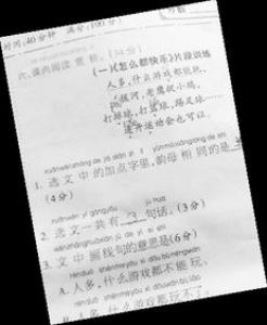 老鹰捉小鸡小学二年级作文350字