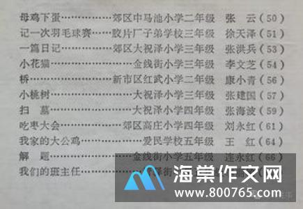 打羽毛球小学二年级作文300字