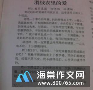 我的奶奶的300字一年级作文