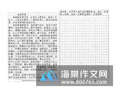 打羽毛球小学二年级作文300字