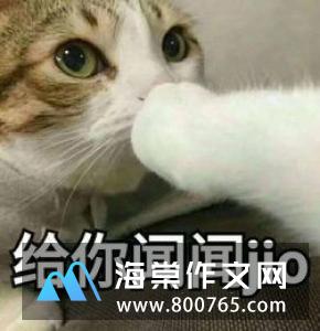 黑猫和白猫一年级作文