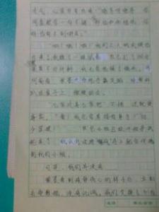 奇迹要靠什么初一作文