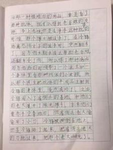 银狼和金狼小学二年级作文400字