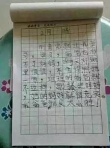 我的家小学二年级优秀作文