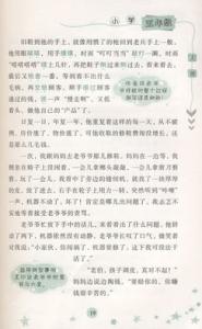 可爱的小乌龟小学二年级作文450字