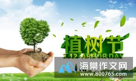 快乐的赶海高一作文1200字