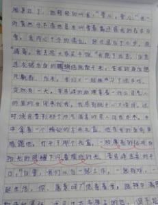 林中访友小学二年级作文