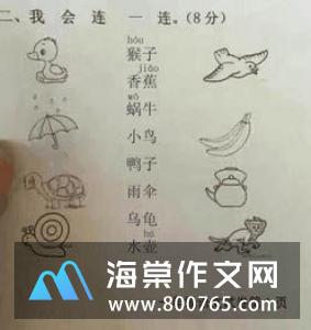 可爱的小乌龟小学二年级作文450字