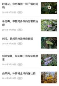 那一双自卑的眼睛初一年级作文750字