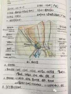 以梦为马高一作文